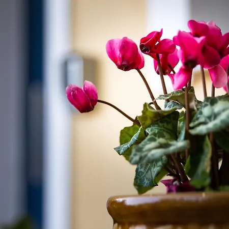 Koumaries Meteora アパート