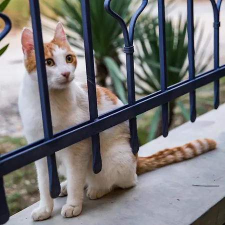 アパート Koumaries Meteora *