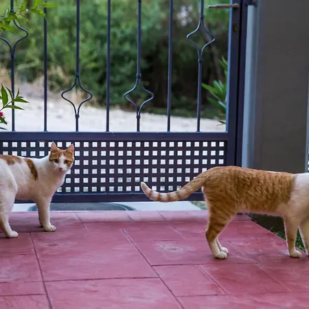 Koumaries Meteora カランバカ