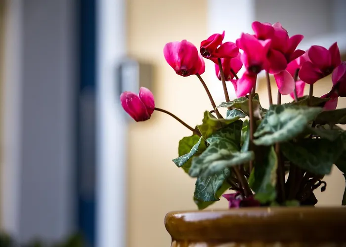 Koumaries Meteora アパート