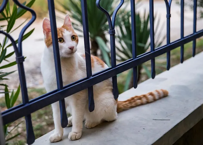 アパート Koumaries Meteora *