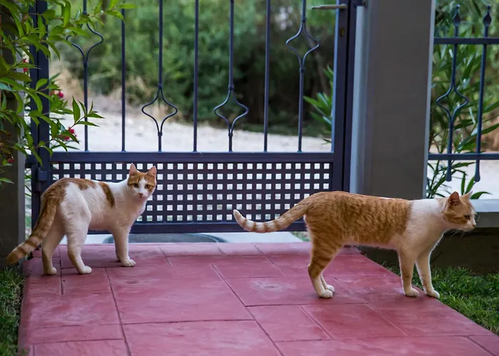 Koumaries Meteora カランバカ